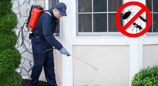 Eflani Hamam Böceği İlaçlama böcek ilaçlama ve haşere kontrolü — ilaclama-tr.com